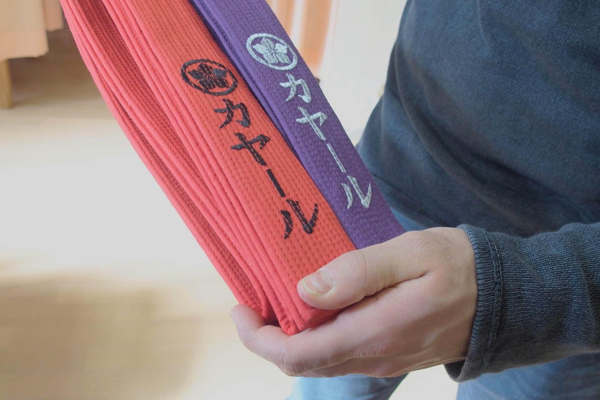 Klinik & Dojo Treffen in Japan 2016